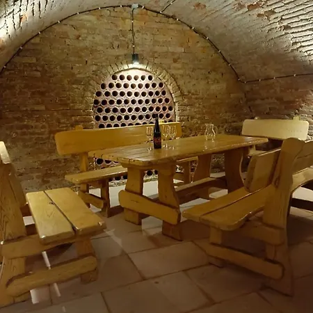 بيت ضيافة Penzion Starovice