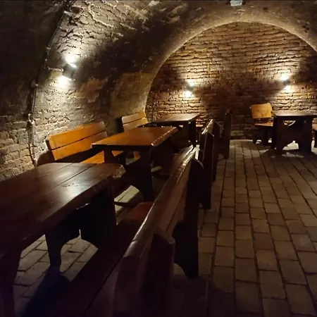 Гостевой дом Penzion Starovice Starovice