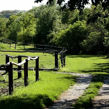 Gasthof Penzion Starovice Starovice
