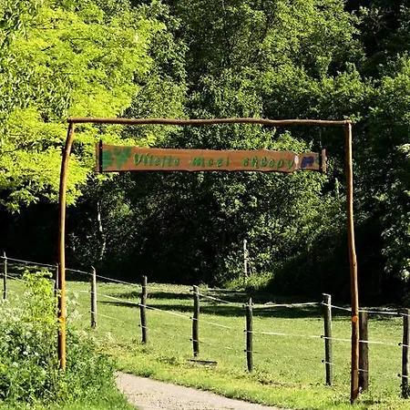 Gasthof Penzion Starovice