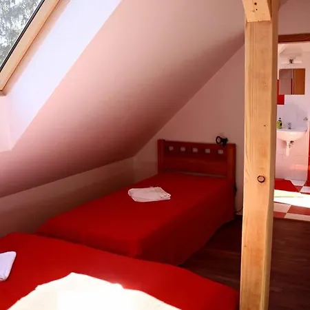 Penzion Starovice Guest house Starovice