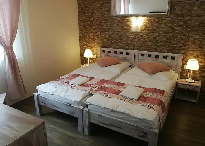 بيت ضيافة Penzion Starovice Starovice