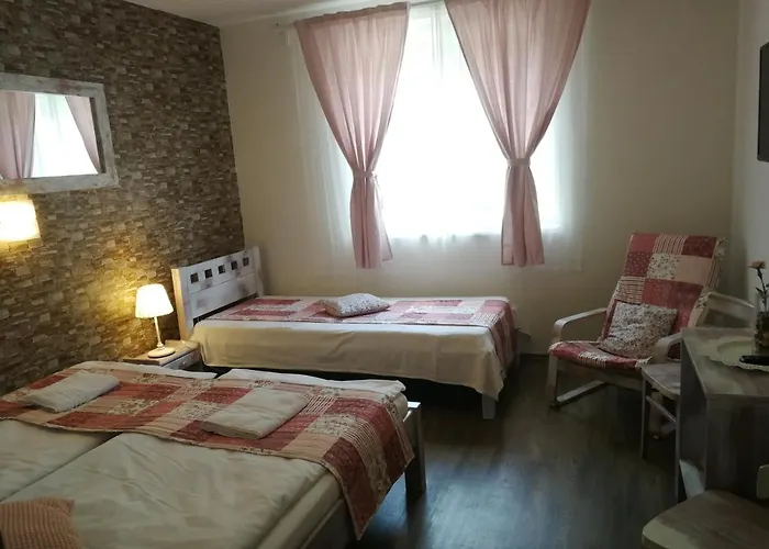 بيت ضيافة Penzion Starovice Starovice