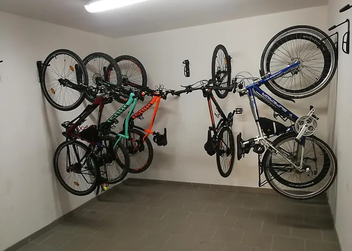 بيت ضيافة Penzion Starovice 3*