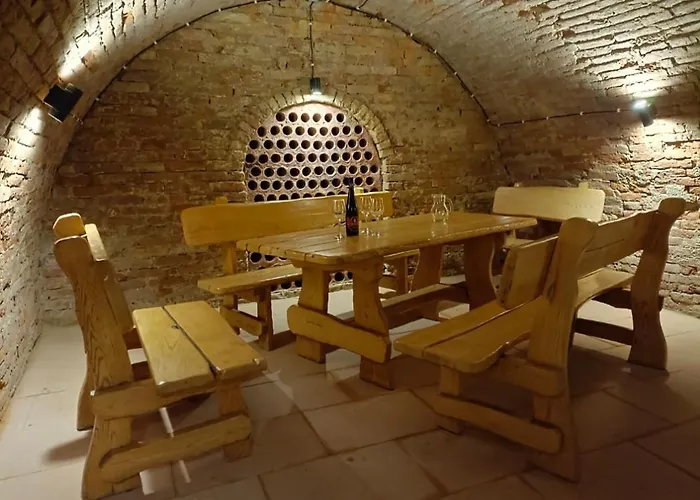 بيت ضيافة Penzion Starovice