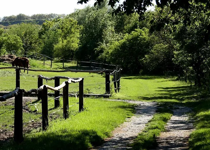 بيت ضيافة Penzion Starovice Starovice