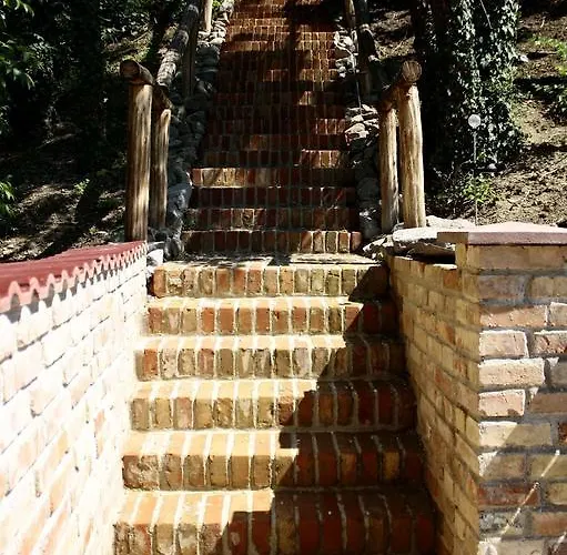 بيت ضيافة Penzion Starovice