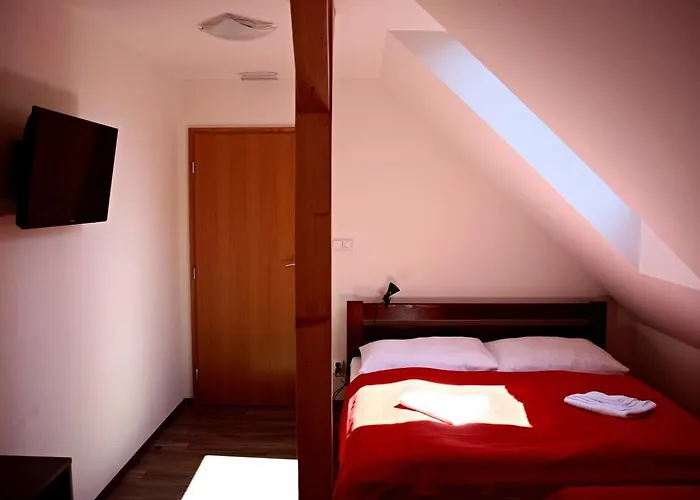 بيت ضيافة Penzion Starovice