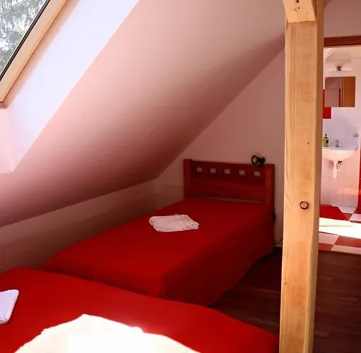 Penzion Starovice بيت ضيافة Starovice