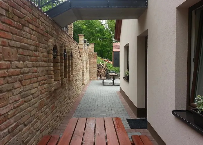 بيت ضيافة Penzion Starovice 3*