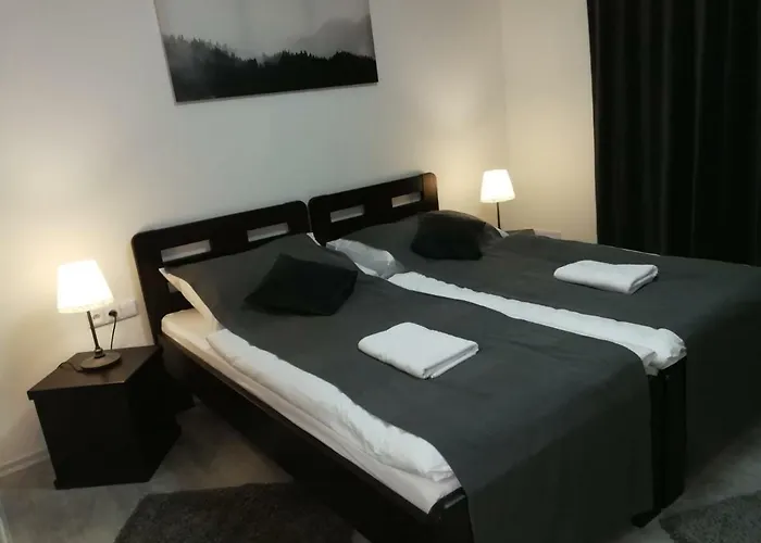 Penzion Starovice بيت ضيافة 3*